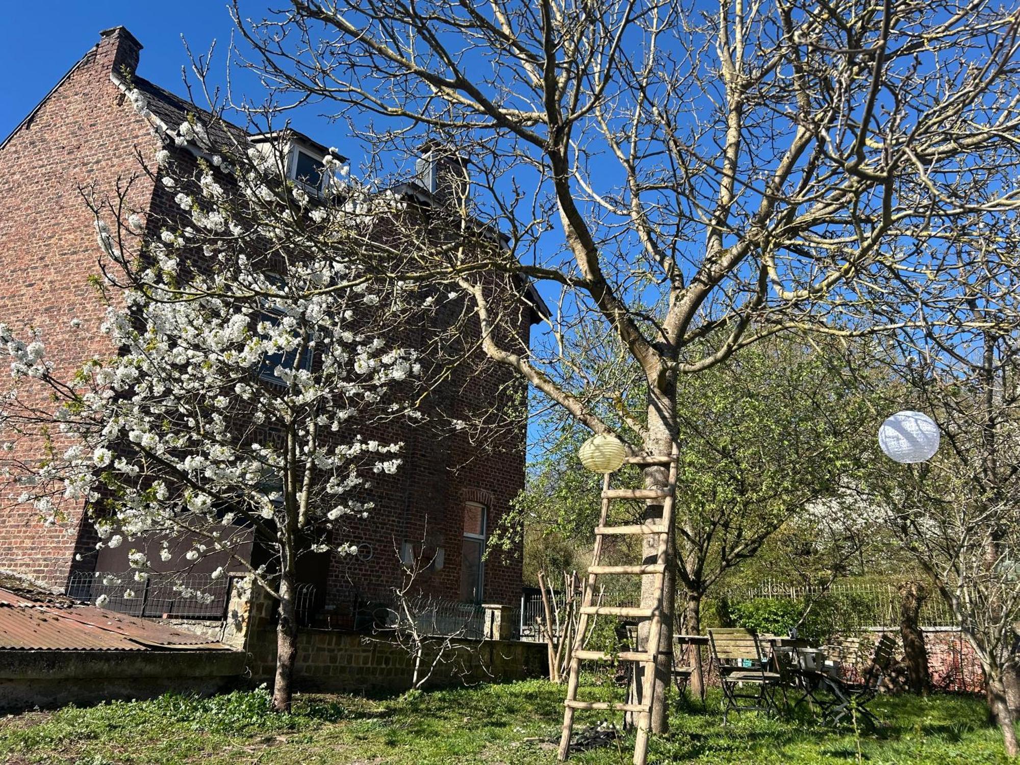 2Pas2Meuse Lägenhet Waulsort Exteriör bild